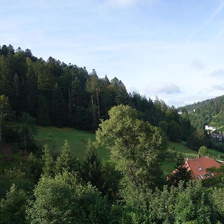 Zum Schwalbennest Apartment Todtmoos Luaran gambar