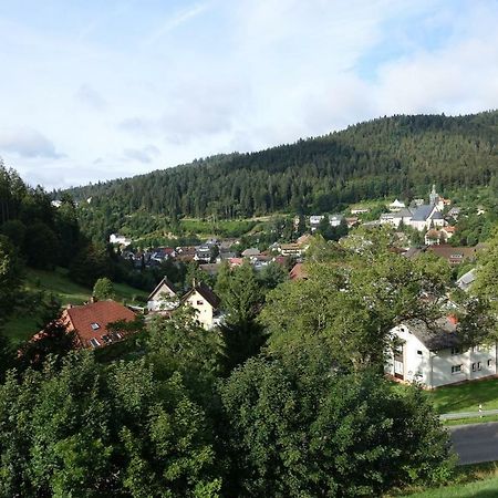 Zum Schwalbennest Apartment Todtmoos Luaran gambar