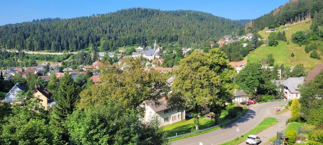 Zum Schwalbennest Apartment Todtmoos Luaran gambar
