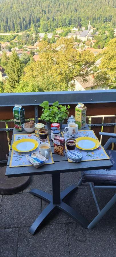 Zum Schwalbennest Apartment Todtmoos Luaran gambar