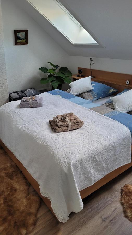 Zum Schwalbennest Apartment Todtmoos Luaran gambar