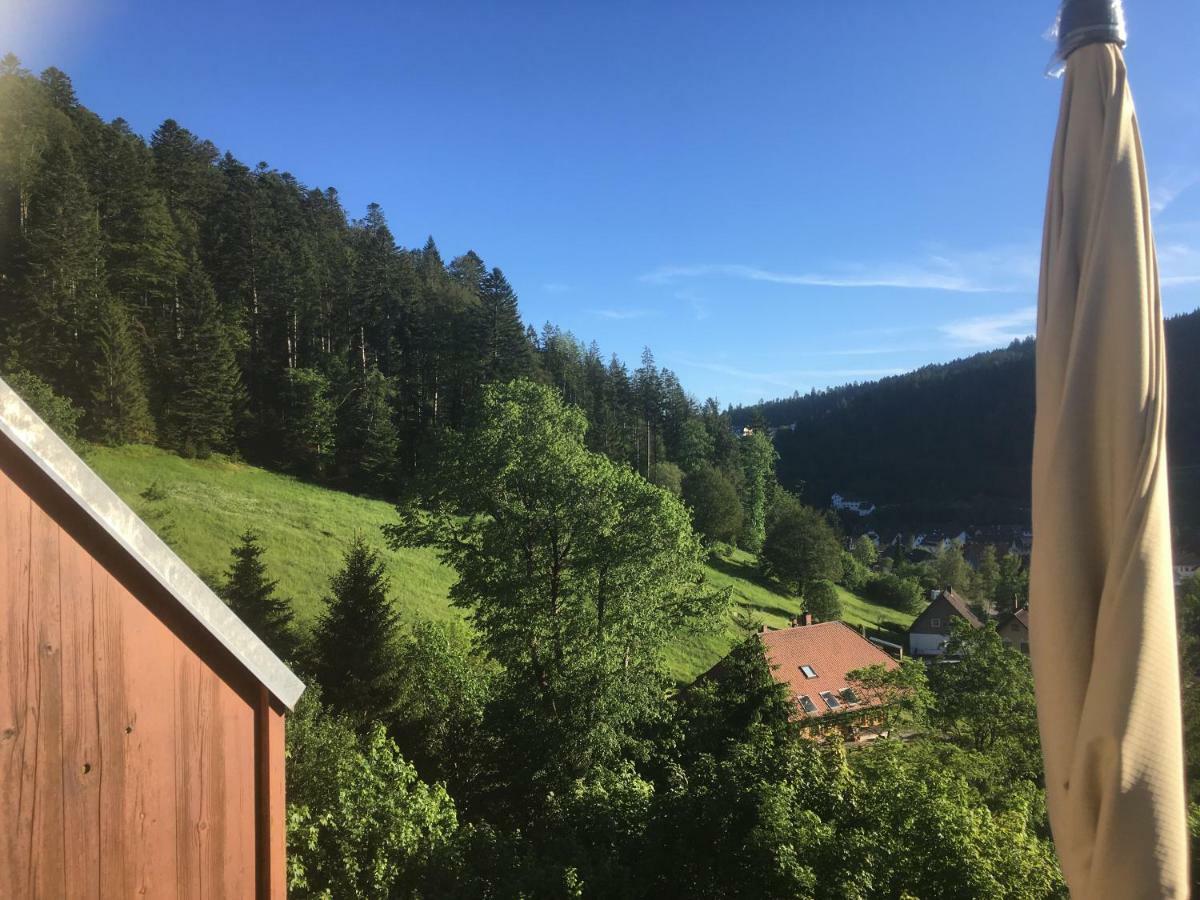 Zum Schwalbennest Apartment Todtmoos Luaran gambar